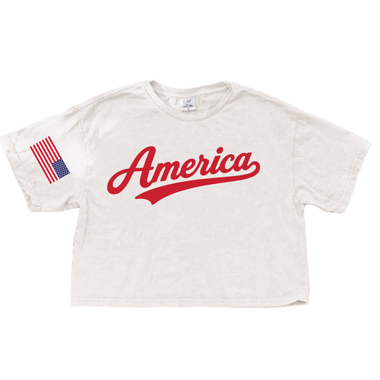 Oat Collective Cropped Tee (multiple designs)