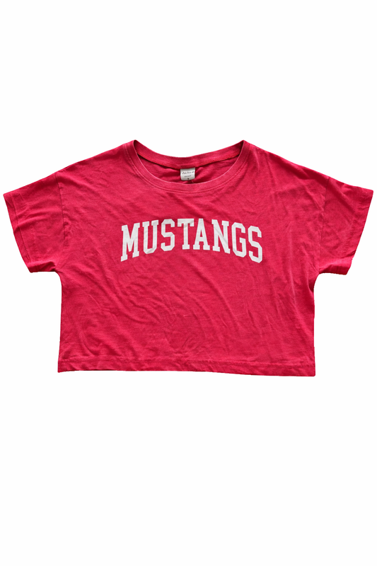 Chicka D Vintage Washed Crop