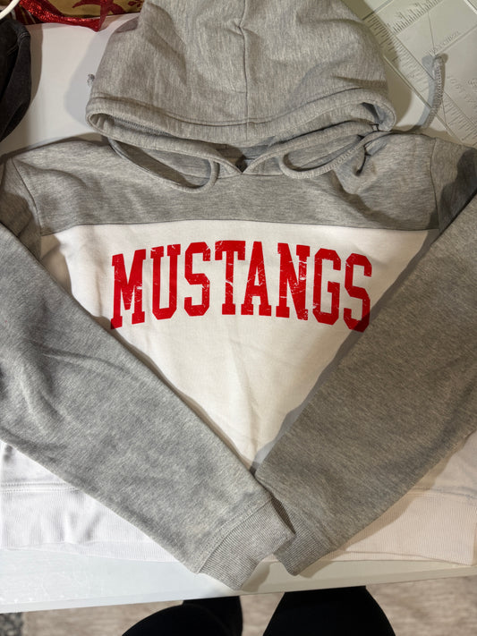 Large Women’s Crop Hoodie