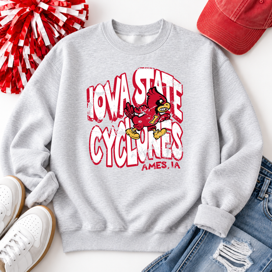 College Game Day Crew (Adult & Youth)