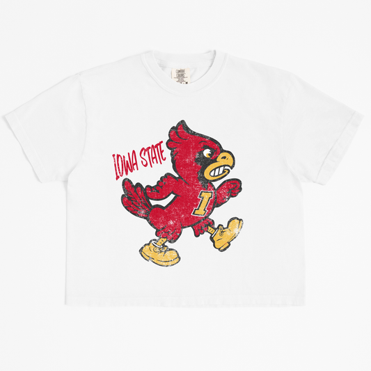 Mom Crop Iowa State