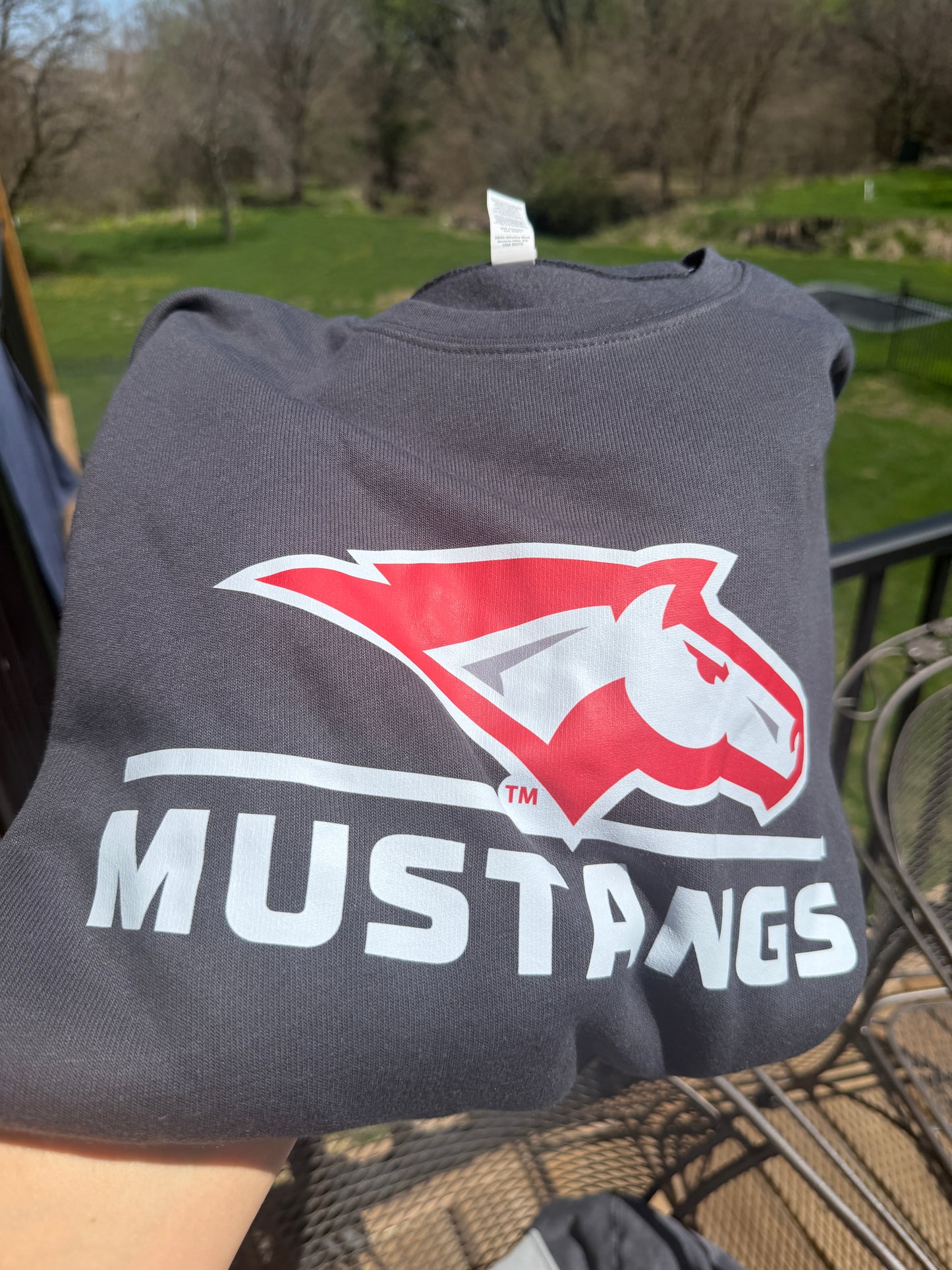 Crewneck (multiple sizes)